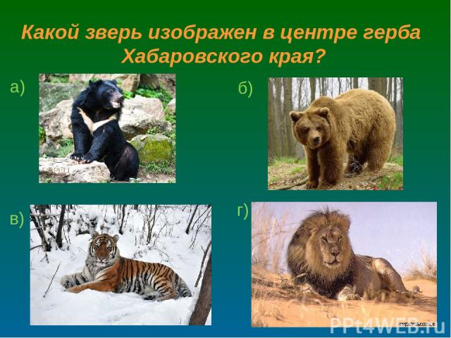 Какой зверь изображен в центре герба Хабаровского края? а) б) в) г)