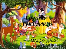 Группа «ГНОМИКИ» детский сад «Теремок» (МАДОУ д/с №24, г. Хабаровск)