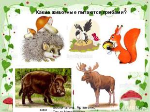 Какие животные питаются грибами? Воспитатель: Артеменко Ольга Николаевна