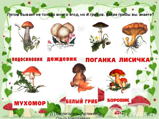Летом бывает не только много ягод, но и грибов. Какие грибы вы знаете? Воспитатель: Артеменко Ольга Николаевна
