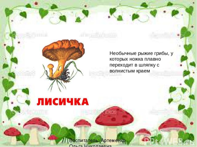 Воспитатель: Артеменко Ольга Николаевна Необычные рыжие грибы, у которых ножка плавно переходит в шляпку с волнистым краем