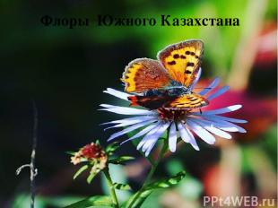 Флоры Южного Казахстана