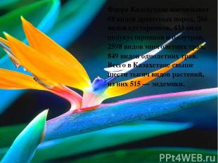 Флора Казахстана насчитыват 68 видов древесных пород, 266 видов кустарников, 433