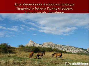 Для збереження й охорони природи Південного берега Криму створено Карадазький за