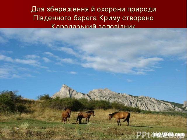 Для збереження й охорони природи Південного берега Криму створено Карадазький заповідник