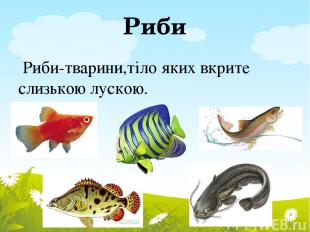 Риби Риби-тварини,тіло яких вкрите слизькою лускою.