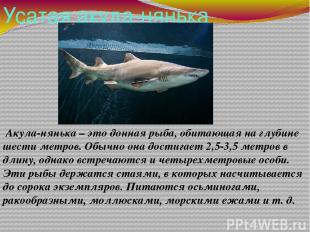 Усатая акула-нянька Акула-нянька – это донная рыба, обитающая на глубине шести м