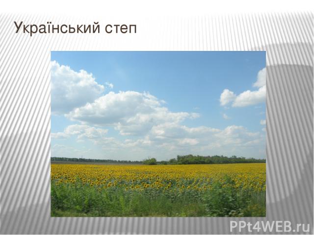 Український степ