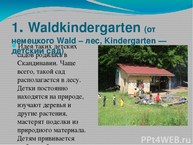 1. Waldkindergarten (от немецкого Wald – лес, Kindergarten — детский сад). Идея таких детских садов родилась в Скандинавии. Чаще всего, такой сад располагается в лесу.  Детки постоянно находятся на природе, изучают деревья и другие растения, мастеря…