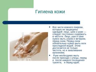 Гигиена кожи Все части кожного покрова, которые не защищены одеждой: лицо, шею и