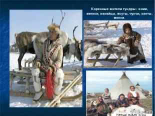 Коренные жители тундры: коми, эвенки, нанайцы, якуты, чукчи, ханты, манси.