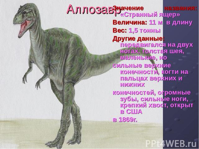 Аллозавр Значение названия: «Странный ящер» Величина: 11 м в длину Вес: 1,5 тонны Другие данные: передвигался на двух ногах, толстая шея, маленькие, но сильные верхние конечности, когти на пальцах верхних и нижних конечностей, огромные зубы, сильные…