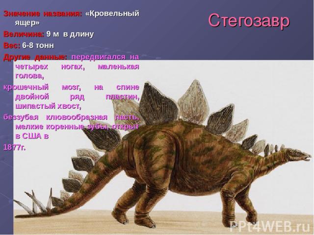Стегозавр Значение названия: «Кровельный ящер» Величина: 9 м в длину Вес: 6-8 тонн Другие данные: передвигался на четырех ногах, маленькая голова, крошечный мозг, на спине двойной ряд пластин, шипастый хвост, беззубая клювообразная пасть, мелкие кор…