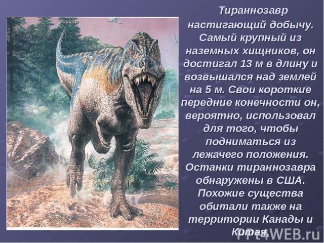Тираннозавр настигающий добычу. Самый крупный из наземных хищников, он достигал 13 м в длину и возвышался над землей на 5 м. Свои короткие передние конечности он, вероятно, использовал для того, чтобы подниматься из лежачего положения. Останки тиран…
