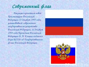 Накануне принятия новой Конституции Российской Федерации 12 декабря 1993 года, у