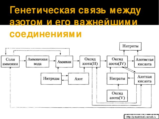 Генетическая связь между азотом и его важнейшими соединениями http://prezentazii.narod.ru