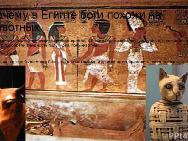 Почему в Египте боги похожи на животных Разумеется все сложилось исторически, с древних времен, в Египте богами считались животные, а со временем они стали ближе к людям и приобрели внешность полулудей, полуживотных. Религия у егептян такая. В религ…