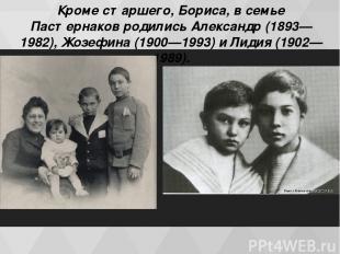 Кроме старшего, Бориса, в семье Пастернаков родились Александр (1893—1982), Жозе