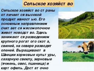 Сельское хозяйство Сельское хозяйство страны отличается высокой продуктивностью.