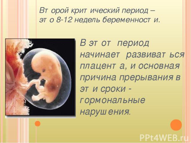 Второй критический период – это 8-12 недель беременности. В этот период начинает развиваться плацента, и основная причина прерывания в эти сроки - гормональные нарушения.