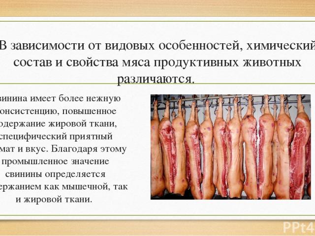 В зависимости от видовых особенностей, химический состав и свойства мяса продуктивных животных различаются. Свинина имеет более нежную консистенцию, повышенное содержание жировой ткани, специфический приятный аромат и вкус. Благодаря этому промышлен…