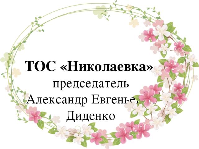 ТОС «Николаевка», председатель Александр Евгеньевич Диденко