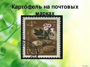 Картофель на почтовых марках