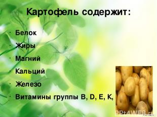 Картофель содержит: Белок Жиры Магний Кальций Железо Витамины группы B, D, Е, К,