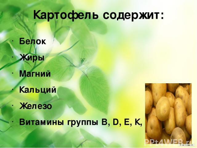 Картофель содержит: Белок Жиры Магний Кальций Железо Витамины группы B, D, Е, К, РР