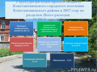 Структура расходов проекта бюджета Константиновского городского поселения Конста