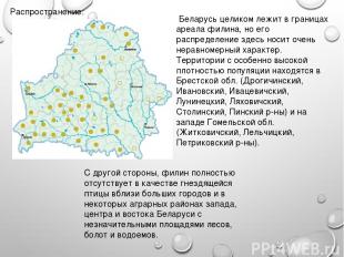Распространение: Беларусь целиком лежит в границах ареала филина, но его распред