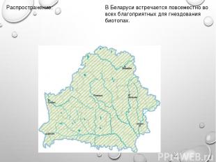 Распространение: В Беларуси встречается повсеместно во всех благоприятных для гн