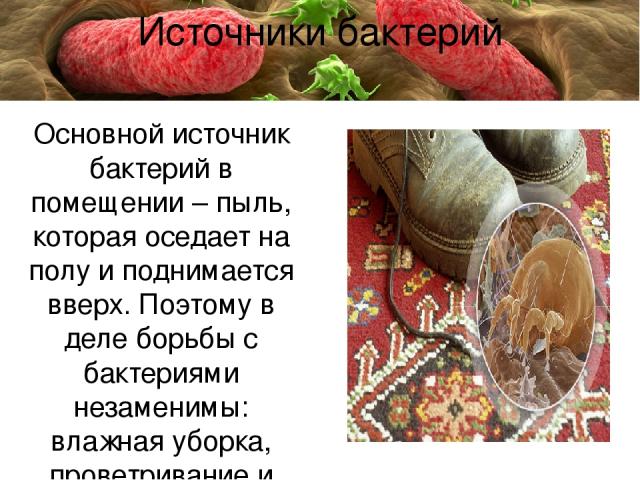 Основной источник бактерий в помещении – пыль, которая оседает на полу и поднимается вверх. Поэтому в деле борьбы с бактериями незаменимы: влажная уборка, проветривание и прогулки на свежем воздухе Источники бактерий