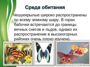 Чешуекрылые широко распространены по всему земному шару. В горах бабочки встреча