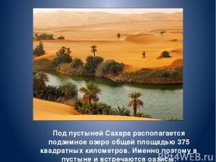 Под пустыней Сахара располагается подземное озеро общей площадью 375 квадратных