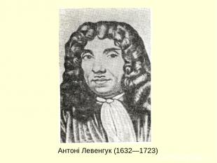Антоні Левенгук (1632—1723)