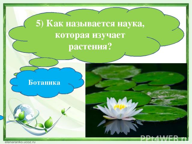 5) Как называется наука, которая изучает растения? Ботаника