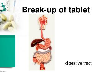 Break-up of tablet digestive tract
