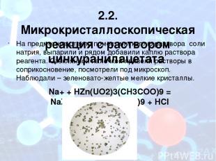 2.2. Микрокристаллоскопическая реакция с раствором цинкуранилацетата На предметн