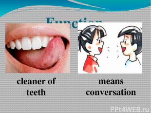 cleaner of teeth means conversation Function
