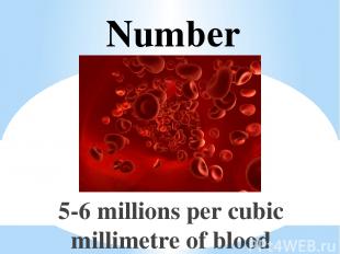 Number 5-6 millions per cubic millimetre of blood