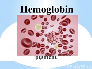 Hemoglobin pigment