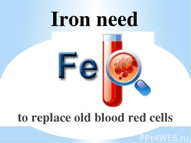 Iron need to replace old blood red cells