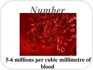 Number 5-6 millions per cubic millimetre of blood