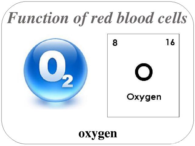 Function of red blood cells oxygen