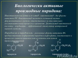Биологически активные производные пиридина: Никотиновая кислота и ее амид - нико