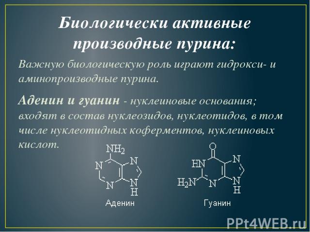 Биологически активные производные пурина: Важную биологическую роль играют гидрокси- и аминопроизводные пурина. Аденин и гуанин - нуклеиновые основания; входят в состав нуклеозидов, нуклеотидов, в том числе нуклеотидных коферментов, нуклеиновых кислот.