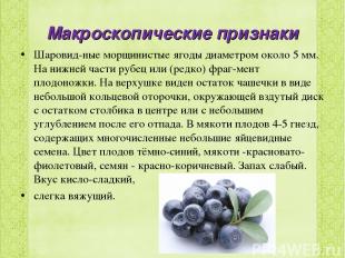 Макроскопические признаки Шаровид ные морщинистые ягоды диаметром около 5 мм. На