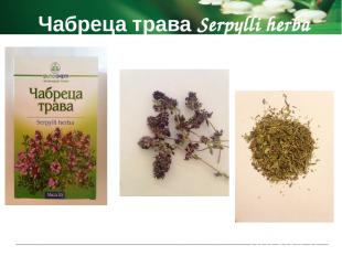 Чабреца трава Serpylli herba Показания к применению при легочных заболеваниях ка