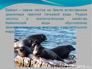 Байкал – самое чистое на Земле естественное хранилище пресной питьевой воды. Ред